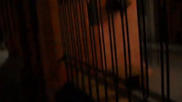 Мы с Иисусом - парнем светлорусым смотреть онлайн