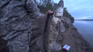 ОБРЫВЫ,СХОДЫ,МОЩНЫЕ ПОКЛЁВКИ | Ловим на РЕЗИНКУ СУДАКА и ЩУКУ | Рыбалка на РЕЗИНКУ в ИЮНЕ