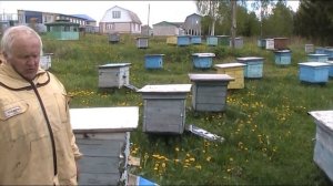 ЧТО ДЕЛАТЬ ЧТОБЫ ПЧЁЛЫ НЕ РОИЛИСЬ.
