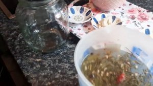 58. КАК БЫСТРО ПРИГОТОВИТЬ МАРИНОВАННЫЕ ПОМИДОРЫ (Черри).