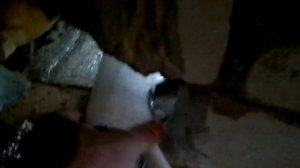 Как правильно сделать теплый пол в домашних условиях максимально выгодно !!!