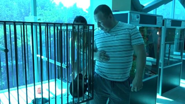 Живые тропики смотреть онлайн