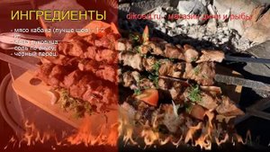 Рецепты из кабана - как приготовить кабана пошаговый рецепт - Шашлык из кабанятины за 30 минут