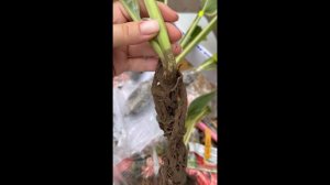 Распаковка посылки от “ калейдоскоп увлечений»