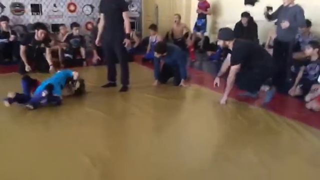 Иресханов Ахмед Цоци-юрт смотреть онлайн