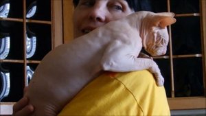 Хочу на ручки  ( cat wants to hug  ).mp4