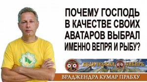 Почему Господь в качестве своих Аватаров выбрал именно Вепря и Рыбу?