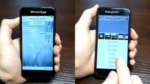 Что лучше? WhatsApp или Telegram?!?