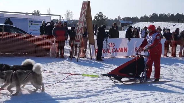 под Дзержинском Решетиха ХАСКИ праздник смотреть онлайн