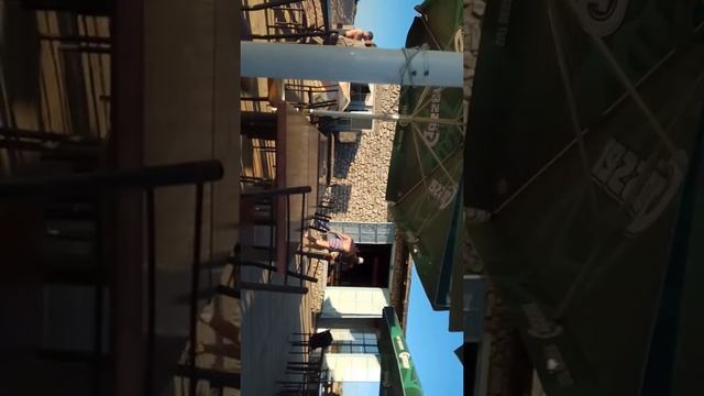 Анапа, витязево, пляж тортуга смотреть онлайн