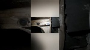 Рено Сандеро 2019гв Проблемы по Кузову...