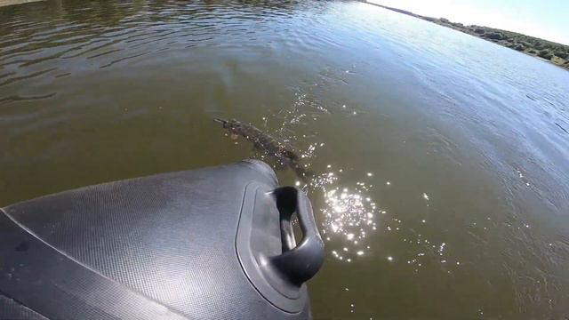 Рыбалка на р. Ока семьей. Дочкин рекорд по щуки смотреть онлайн