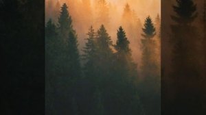 Красота и величие Сибири. Природа юга Красноярского края.