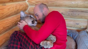 Неземная любовь! или терпению пумы Месси только позавидовать?