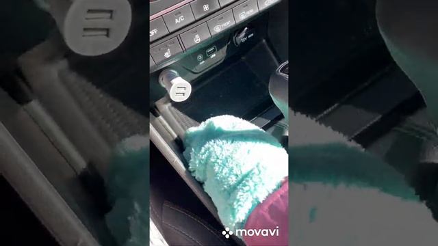 Обзор ВАРЕЖКА ДЛЯ ОБЩЕЙ УБОРКИ "УЮТ" от Greenwey смотреть онлайн