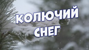 Колючий снег Сергей Одинцов