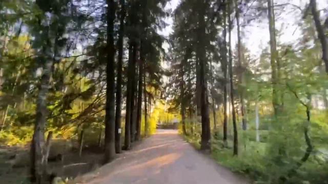 Посёлок Рощино Лесная улица, 2  тел. +7(952)394-34-59