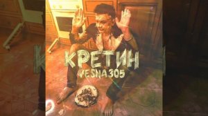 Кретин-VESNA305