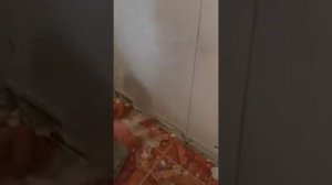 Штукатурка стен. Выравнивание толстого слоя шпатлевки UNIS с помощью правила по выставленным маякам