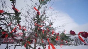 Как мы «Холостяка» встречали