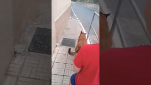 Гуляем По Гаспре