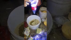 Прикормка для сазана