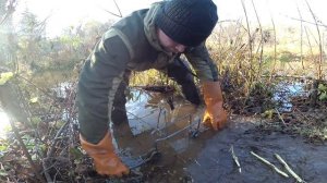 Установка проходного капкана КП 250 с следовой насторожкой на искусственном вылазе. Бобр добыт!