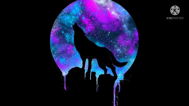 День, Ночь. 1 час с подборкой котов. смотреть онлайн