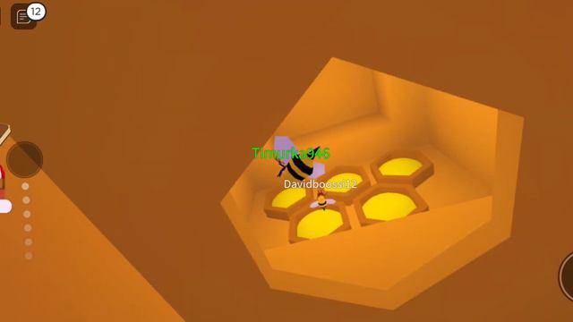 Как получить пчелиную соту в Wacky Wizards