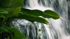 #14 ПОКАЯНИЕ.ДУШЕВНЫЙ ЛЕКАРЬ.СВЯТЫЕ ОТЦЫ-МИРЯНАМ