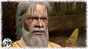 Dragon Age: Origins. Разбойник #58. Восточный Бресилиан