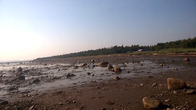 Белое море, Кольский полуостров, отлив.