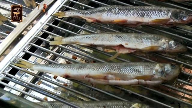 Рекомендуем! Гриль для дачи купить на www.GrilliBarbecue.ru