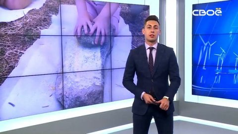 Новости на Своём от 10 июня 2024г. 19:30