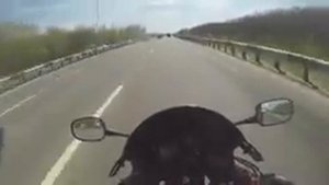 [Докатились!] Тест драйв Honda CBR 929 гончая корова.