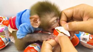 Monkey Baby Bon Bon and puppy open Yummy Kinder Surprise Egg contain toys and chocolate