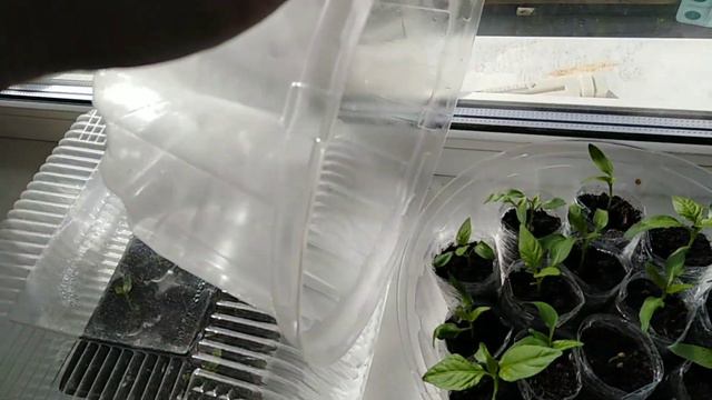 Весенние работы в огороде. смотреть онлайн