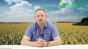 Гуси и утки. Секрет разведения