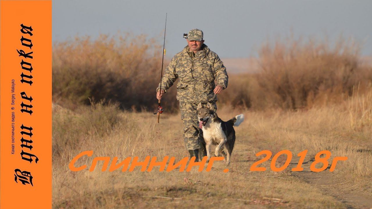 Рыбалка, щука, спиннинг. 2018г.