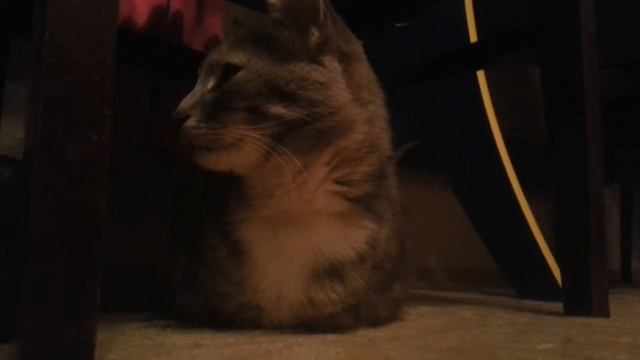 Рисовать!?!?! смотреть онлайн