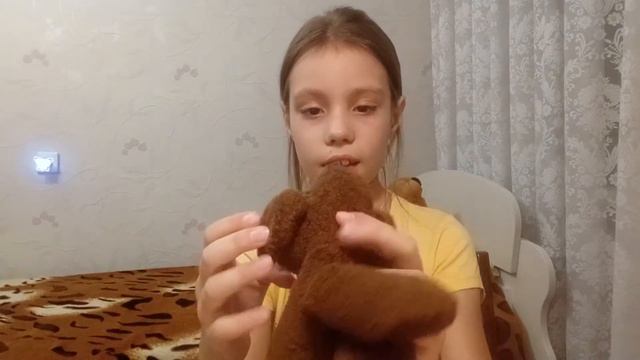Мои плюшевые питомцы