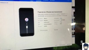iPhone 7 не включается не заряжается, на iCloud подписчик Франция.