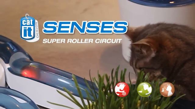 Catit Design Senses Линейка продуктов для кошек смотреть онлайн