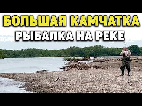 Камчатка Рыбалка на реке, ловим горбушу август 2022 Big Kamchatka, Fishing on the river