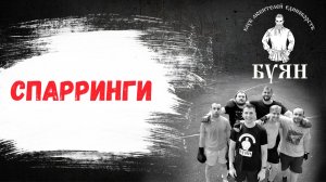 Спарринги