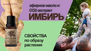 Имбирь - эфирное масло свойства и польза