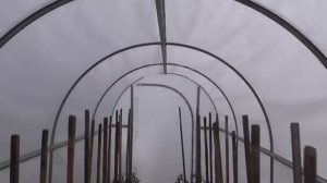 ЧУДО - ТЕПЛИЦА ПРОХОДИТ ПЕРВЫЕ ИСПЫТАНИЯ. Ольга Чернова.