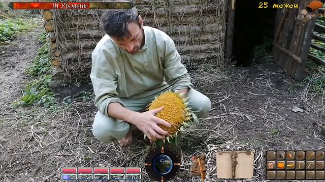 Виртуальная - реальная игра средневековье. Строительство хижины в диком лесу№31 смотреть онлайн