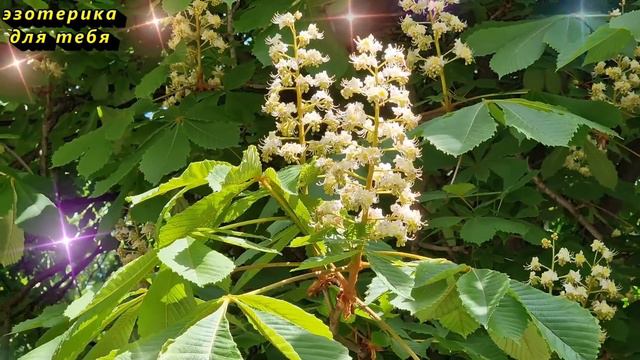 Проткните вилкой это возле мусорки и сразу верните все адское зло и муки врагу навсегда смотреть онлайн