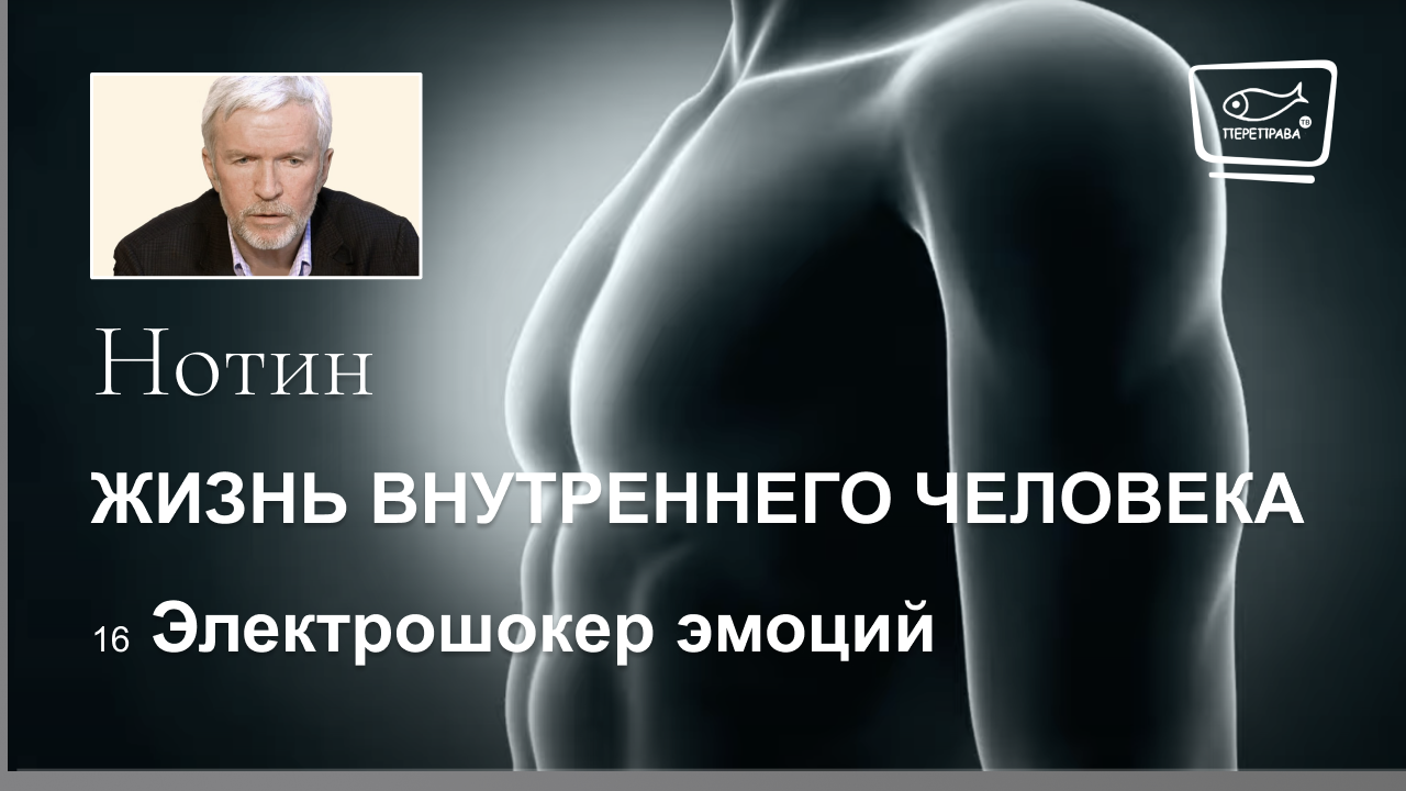 16. Жизнь внутреннего человека. Электрошокер эмоций